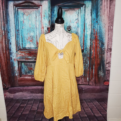 Plus Size Yellow High Waisted Dress